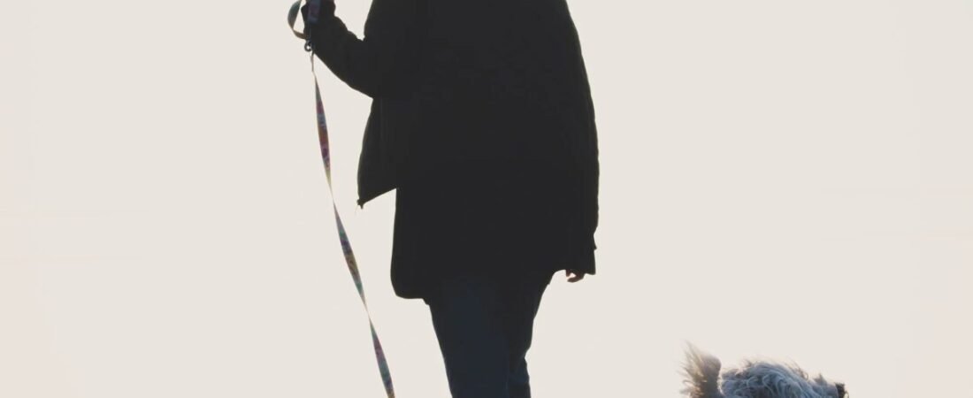 목줄 당기고 반응성 심한 강아지, 하네스 어떻게 골라야 할까